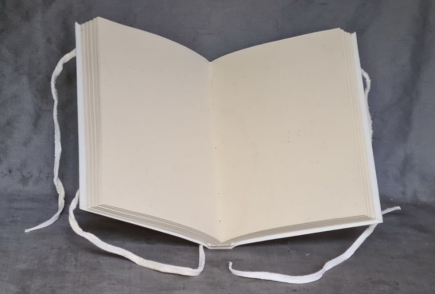 Vellum bound note book #3